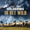 Film De Nieuwe Wildernis in de buitenlucht Film De Nieuwe Wildernis in de buitenlucht
