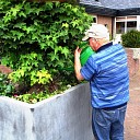 Even de plantjes water geven Even de plantjes water geven