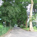 Hoe ‘het veld van Lemele’ in Dalmsholte tot bloei is gekomen… Hoe ‘het veld van Lemele’ in Dalmsholte tot bloei is gekomen…
