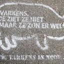 Varkens je ziet ze niet maar ze zijn er wel