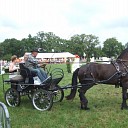 2e concours dag Bergruiters Hoonhorst 2e concours dag Bergruiters Hoonhorst