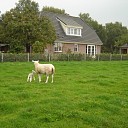 Verrassing in September