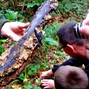 Zoektocht naar paddenstoelen Zoektocht naar paddenstoelen
