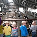 Dierendag Partou kinderopvang Lemelerveld Dierendag Partou kinderopvang Lemelerveld