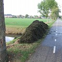 Najaars maaibeurt in de Marswetering Najaars maaibeurt in de Marswetering