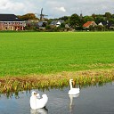 Rustig vaarwater in Hoonhorst Rustig vaarwater in Hoonhorst
