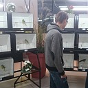 Vogelshow in Trefkoele+ vandaag van start gegaan Vogelshow in Trefkoele+ vandaag van start gegaan