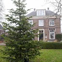 Plaatsing kerstboom bij Hospice wordt traditie.