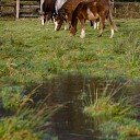 Wassend water en toch (nog) droge voeten