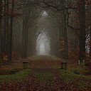 Dalfsen in de mist
