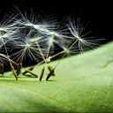Unipro heeft de groene twinkeling gewonnen Unipro heeft de groene twinkeling gewonnen