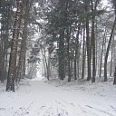 Een witte deken in Dalfsen, heeft u mooie foto’s? Een witte deken in Dalfsen, heeft u mooie foto’s?