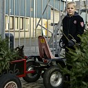kerstbomen inleveren kerstbomen inleveren