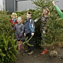Inleveren kerstbomen nu al een succes