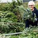 Kerstbomen brengen en halen Kerstbomen brengen en halen