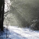 Vervolg prachtige sneeuwplaatjes Vervolg prachtige sneeuwplaatjes