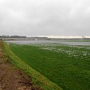 Water in de Vecht sinds gisteren behoorlijk hoger Water in de Vecht sinds gisteren behoorlijk hoger