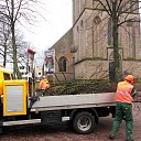 Bomen snoeien Kerkplein Bomen snoeien Kerkplein