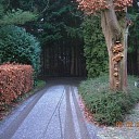 De Natuur De Natuur