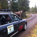 Eerste update Carbage Run