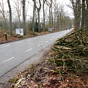 Snoeiwerk Snoeiwerk