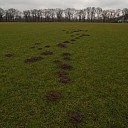 Mollen zijn (soms) net mensen Mollen zijn (soms) net mensen