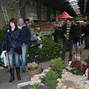 Tuinexpo trekt altijd veel Dalfsenaren Tuinexpo trekt altijd veel Dalfsenaren