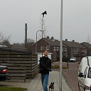 Aanvallende kraai Nieuwe uitleg Aanvallende kraai Nieuwe uitleg