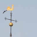 Vogelhumor Vogelhumor