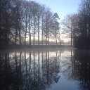 Bosbouwwerkzaamheden op landgoed Den Berg Bosbouwwerkzaamheden op landgoed Den Berg