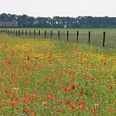Mijn natuurakker! Ook voor jou! Mijn natuurakker! Ook voor jou!