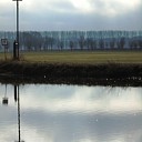 Liefkozende ooievaars Liefkozende ooievaars