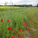 Opgave Agrarisch Natuurbeheer