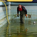 schoonmaakwerkzaamheden bassin zwembad schoonmaakwerkzaamheden bassin zwembad