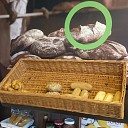 BP Rondweg bied klanten nu ook verse broodjes