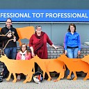 Zorgboer helpt Oranjevereniging Dalfsen