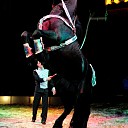 Circus Renz komt naar Dalfsen Circus Renz komt naar Dalfsen