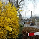 De lente komt er aan