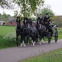 Authentieke koetsentocht 5 mei Om Ommen Authentieke koetsentocht 5 mei Om Ommen