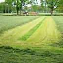 Het meeste gemaaide gras is binnen Het meeste gemaaide gras is binnen