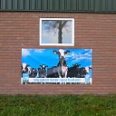Wij gaan weer naar buiten Wij gaan weer naar buiten