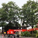 Kap van bomen aan de rondweg