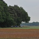 Wandeldag 2 in een zucht voorbij Wandeldag 2 in een zucht voorbij