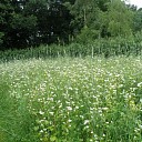 Mijn Natuurakker in Dalfsen