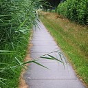 Zijn de bermmaaiers al op vakantie? Zijn de bermmaaiers al op vakantie?