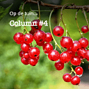 Op de tuin… Op de tuin…