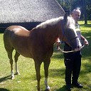 Politie zit met paard in de maag, (update)