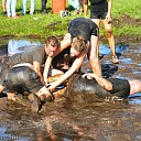 Fotomap van de Oranjefeest zaterdag staat on line!