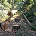 Geen stormschade, maar onderhoud Geen stormschade, maar onderhoud