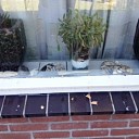 Baldadigheid in Dalfsen?